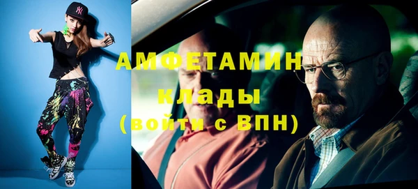 стаф Бородино