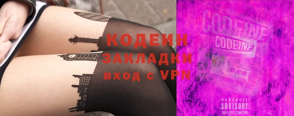 стаф Бородино