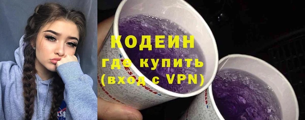 СК Бронницы