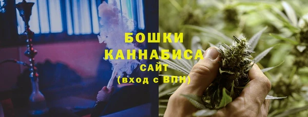 СК Бронницы