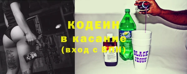 стаф Бородино