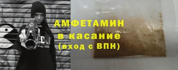 стаф Бородино