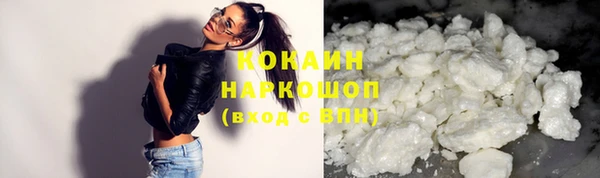 СК Бронницы