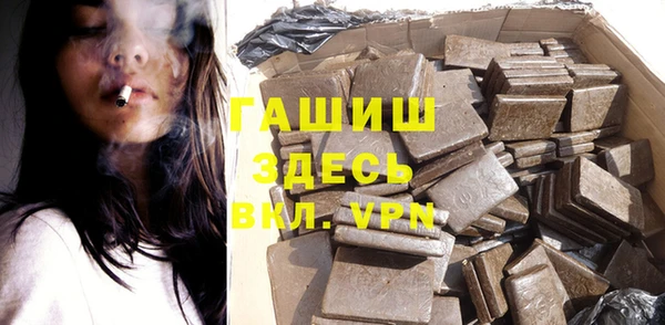 стаф Бородино