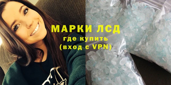 стаф Бородино