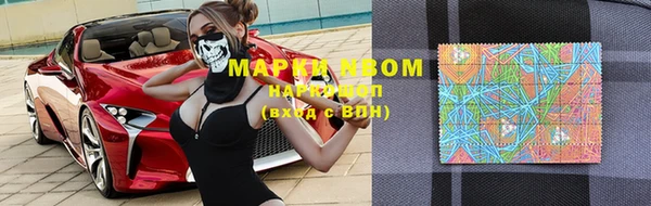 СК Бронницы