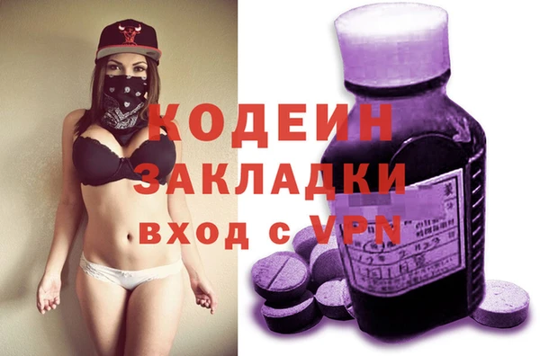 стаф Бородино