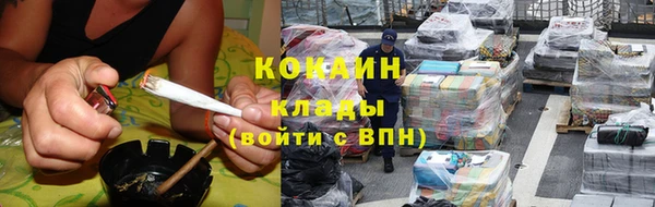 стаф Бородино