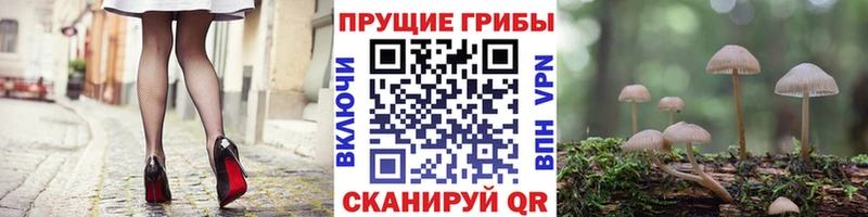 Купить где  Северо-Курильск  Галлюциногенные грибы ЛСД 